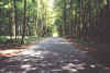 Ruegen1.jpg (66852 Byte)