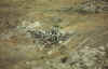dia-256.jpg (89415 Byte)