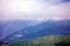 119.jpg (83774 Byte)