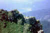 123.jpg (134328 Byte)