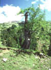 302.jpg (183991 Byte)